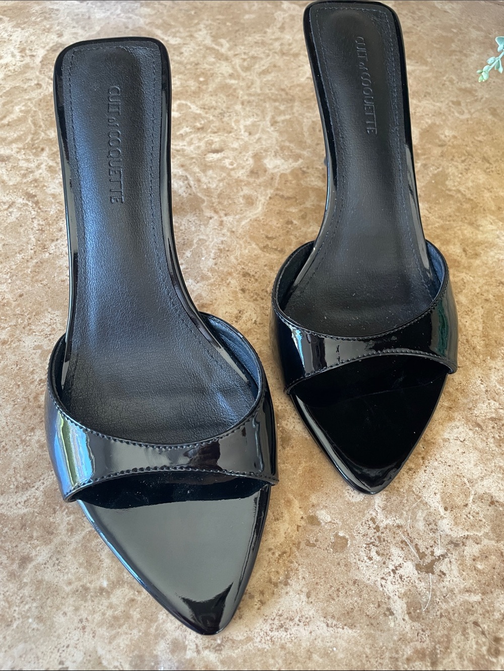 Cult of Coquette Black Patent Pointed Toe zena